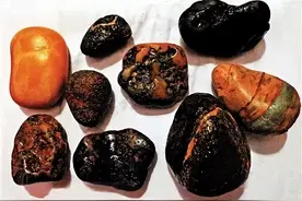 有人在四川挖到这种“石头”，你们去捡捡看图片