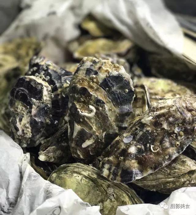 40头的花胶是几级 2025年花胶40头是什么意思?