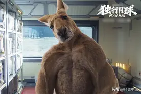 千万不要试图跟一只袋鼠打架图片