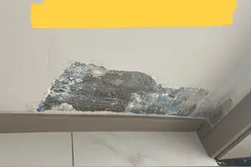 我把墙面装饰材料乳胶漆换回墙布后，心里话不吐不快，太明智了！图片
