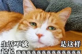 暗黑风渣画质小游戏，让全球十万人都玩疯了？都怪韩国人脑洞太大图片
