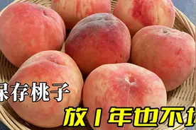 才知道，保存桃子太简单了，老农教我1招，放一个月还鲜甜多汁图片