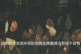 “重新认识一下吧，这次不会让你失望了。”图片