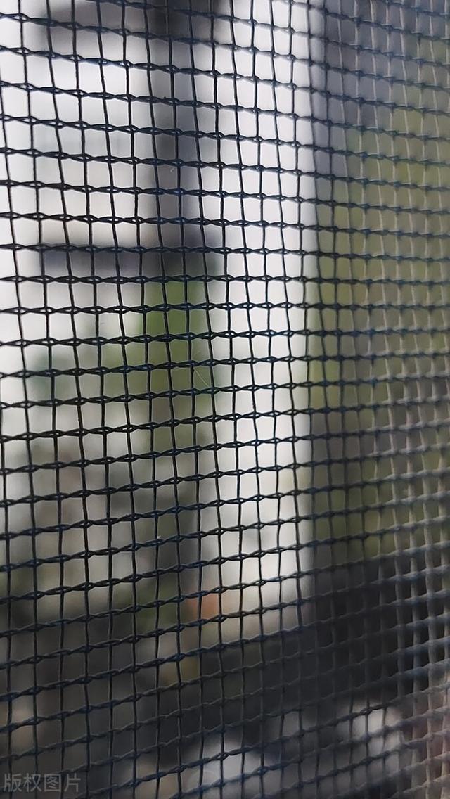 换了2次纱窗，我终于明白了200元金刚网和100元高透网的区别