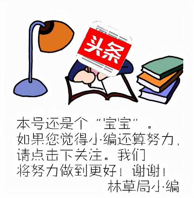 林草科普|敦煌壁画中的植物-柳树