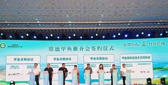 【寻味常德】从一钵常德甲鱼说起(图13)