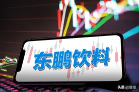 东鹏饮料研究报告：东风乘势上，鹏程三万里图片