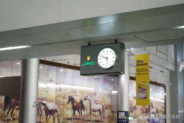 ȥ��ʿ����֮����Щ����ﲻס��