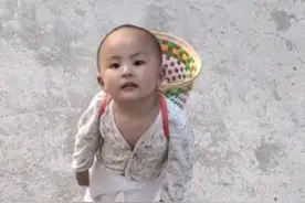 全网最小“快递员”乔治，一声姑姑圈粉近500万，到底有何魅力？图片