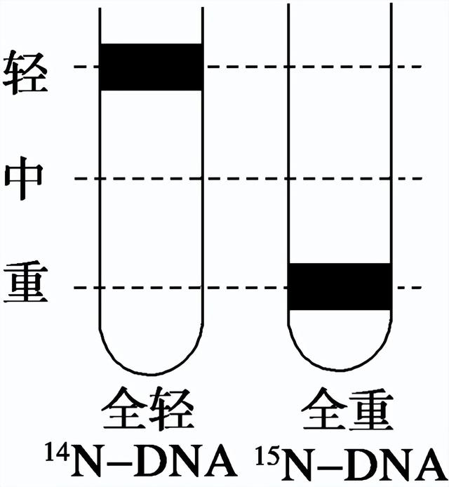 高中生物-基因的本质与表达