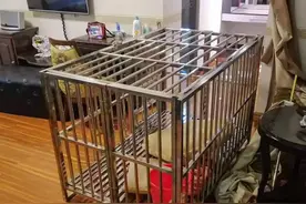 加拿大华人遭遇枪战差点被杀！另一华人女子被绑架，关狗笼20天图片