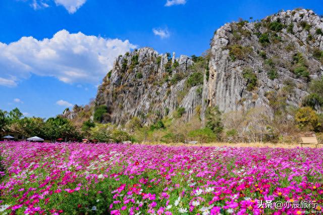 芜湖旅游景点攻略(芜湖必去三个景点)