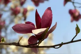 花花世界图片