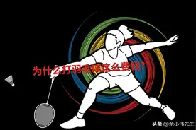 为什么打羽毛球这么费钱？图片