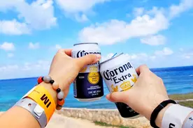 必看！如何选购麦香醇厚的好啤酒？配方和麦汁浓度成“选酒关键”图片