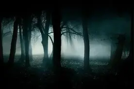解读《三体》中的黑暗森林法则图片