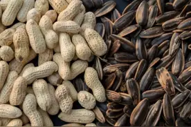 瓜子和花生，一个增肥，一个减肥，若想减肥瘦身，吃对很关键图片