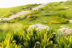 小长假第一天，跟着地铁云出游！图片