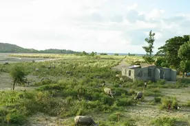 户口是否迁入对集体组织成员资格的影响？图片