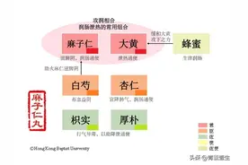 图学方剂——麻子仁丸图片