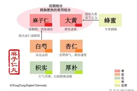 图学方剂——麻子仁丸图片