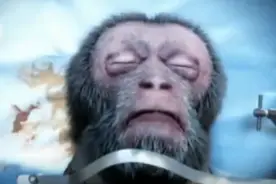 2016年我国花7000万完成首例猴子“换头”术！人类换头术要来了？图片