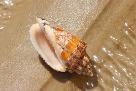 高中生物：177个核心知识点，重点都在这图片