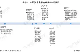 干货！2022年中国电子玻璃行业龙头企业对比：南玻集团PK东旭光电图片