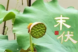 明日末伏，忙也要吃“末伏5宝”，顺应时节补充营养，秋冬少生病图片