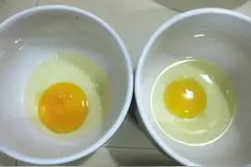 人造鸡蛋已经“泛滥”，并且成本只要1毛钱？吃了真的会致癌吗？图片