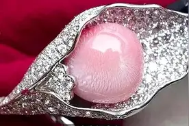 世界上最贵的珍珠图片