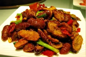 你知道蚕蛹里面有什么吗？图片