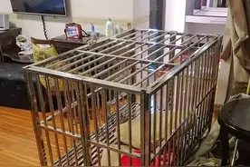 我，福建人，在菲律宾开餐馆，曾年入百万，被顾客骗入人蛇集团图片