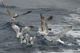 冷战后，你不主动，他也不愿意主动找你，真实原因是这个图片