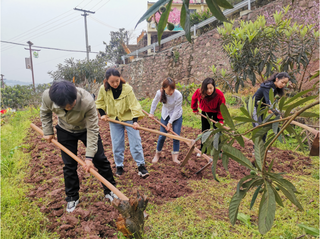 四川省民生研究会新媒体中心-官网
