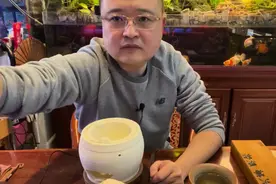 可以炭火煮茶的紫砂壶~潭聚舍聊紫砂壶图片