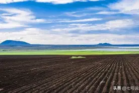 黑土地有多珍贵？世界上仅有的3块黑土地，分布在哪些国家图片