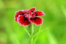 与2021道别，与2022牵手，希望能与更好的一切相遇相逢图片