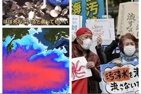 五问江苏太仓港进口北海道海鲜事件中的官方态度图片