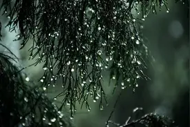 三伏天淋雨危害有多大？图片