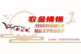 我当信贷员的那些年图片