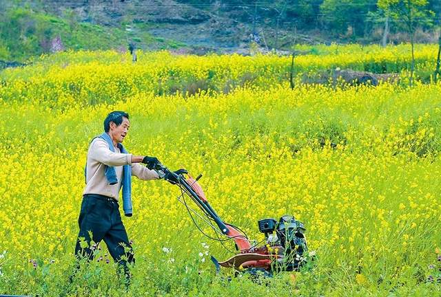四川省民生研究会新媒体中心-官网