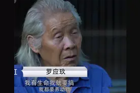 红了那么多次，但流量对他重要吗图片