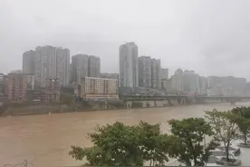 老了，别多言图片