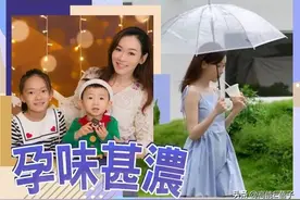 曾未婚生女的杨思琦，怀第三胎了？图片