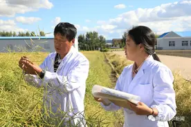 十载改制农安天下 守正革新恳拓未来——呼伦贝尔农垦集团全面深化改革综述图片