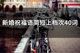 新婚祝福语简短上档次40词(精选56句)图片