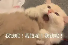 新东方200亿退学费和遣散费，双减后千万教培老师去哪儿了？图片