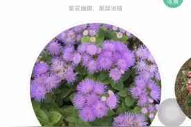 生活派 |“十万个为什么”终结器 这些户外遛娃神级App你值得拥有图片