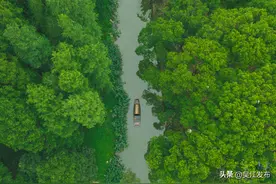 吴江有条风景“专线”，长32公里图片